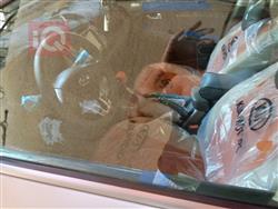 کیا سپۆرتاج